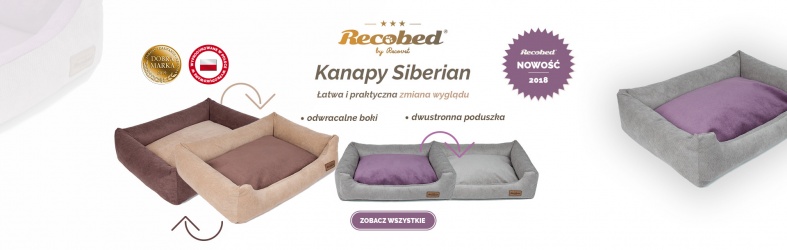 Recobed Siberian