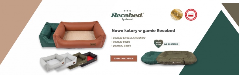 Recobed oliwka