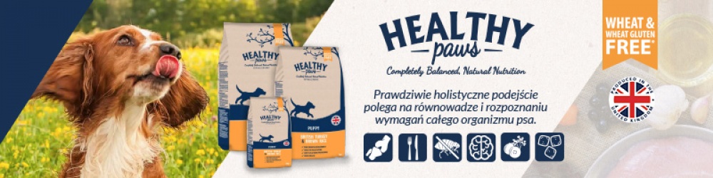 Healthy Paws