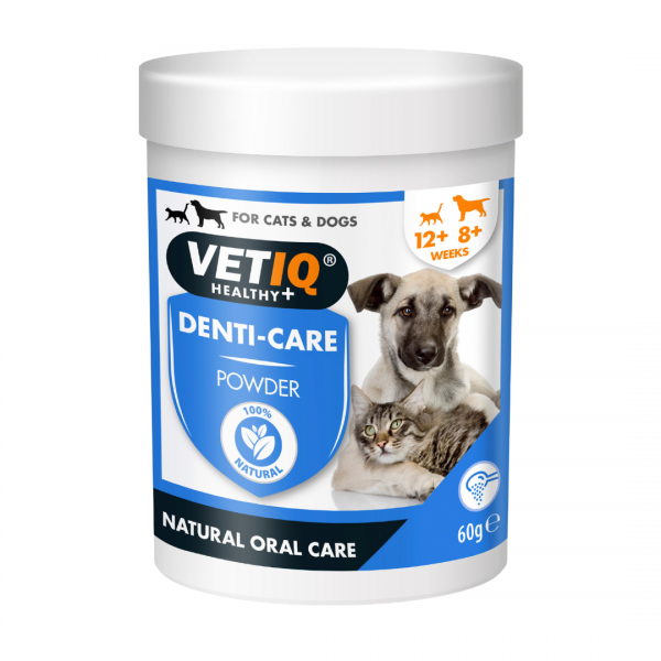 VetIQ 2in1 Denti-Care ochrona zębów 60g Puder