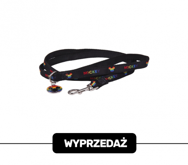 Smycz Disney - WYPRZEDAŻ -50%