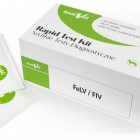 Test diagnostyczny FIV/FeLV 