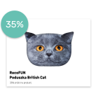 Poduszka British Cat
