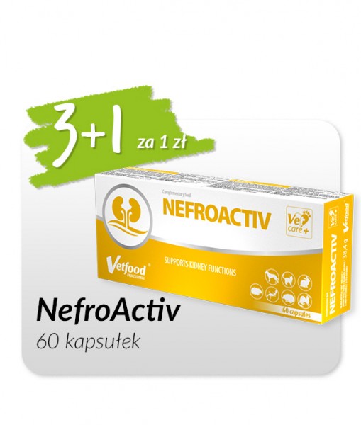 NefroActiv 60 caps 3+1