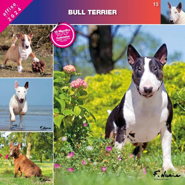 Kalendarz 2024 Bull Terrier