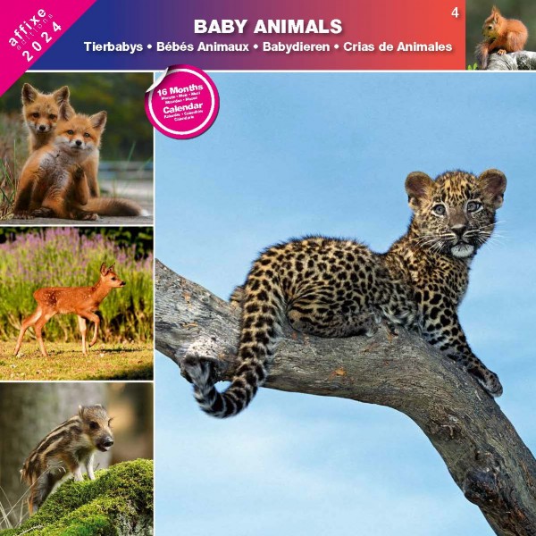 Kalendarz 2024 Baby Animals