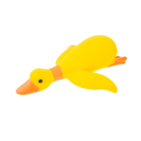 Droll Duck WYPRZEDAŻ-40%