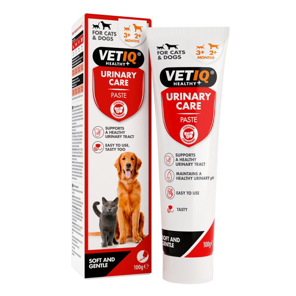 PROMOCJA -60% VetIQ Urinary Care Pasta drogi moczowe dla psów i kotów 100g - PROMOCJA -60%