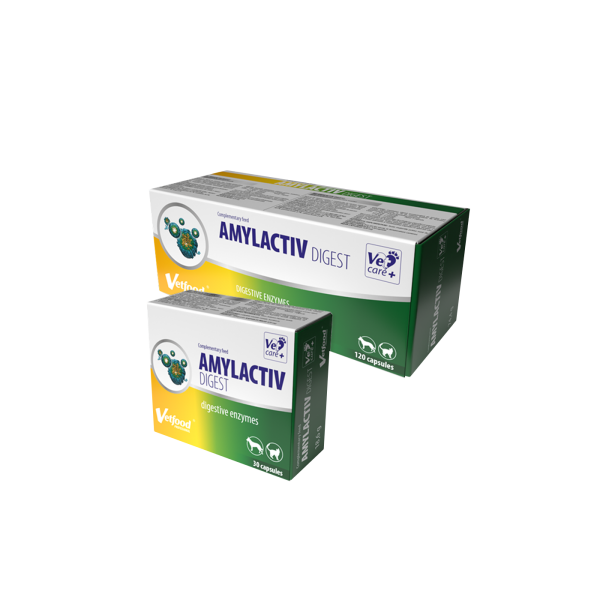 Amylactiv Digest 