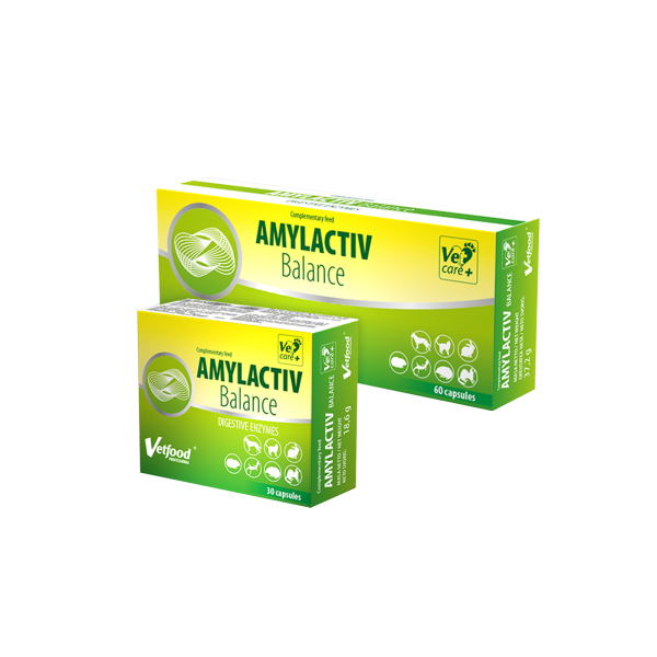 Amylactiv Balance 