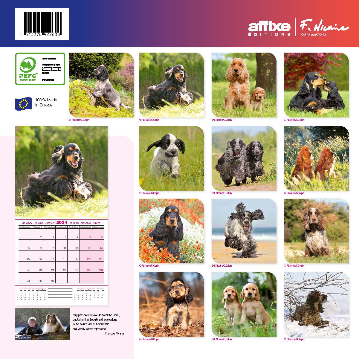 Kalendarz 2024 Cocker Spaniel Affixe